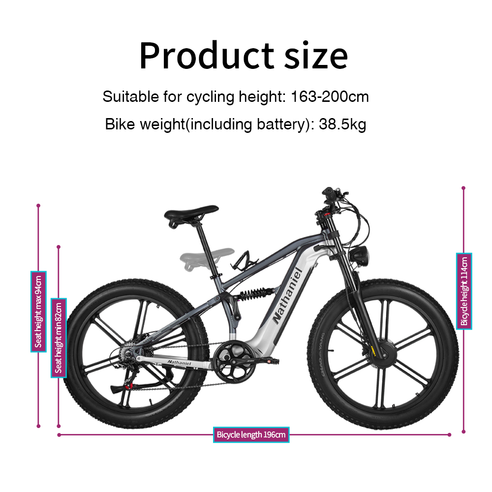 Nathaniel SYR09 elektrische fi - Dual Motor Ebike Kit 2000W recensie en prijs