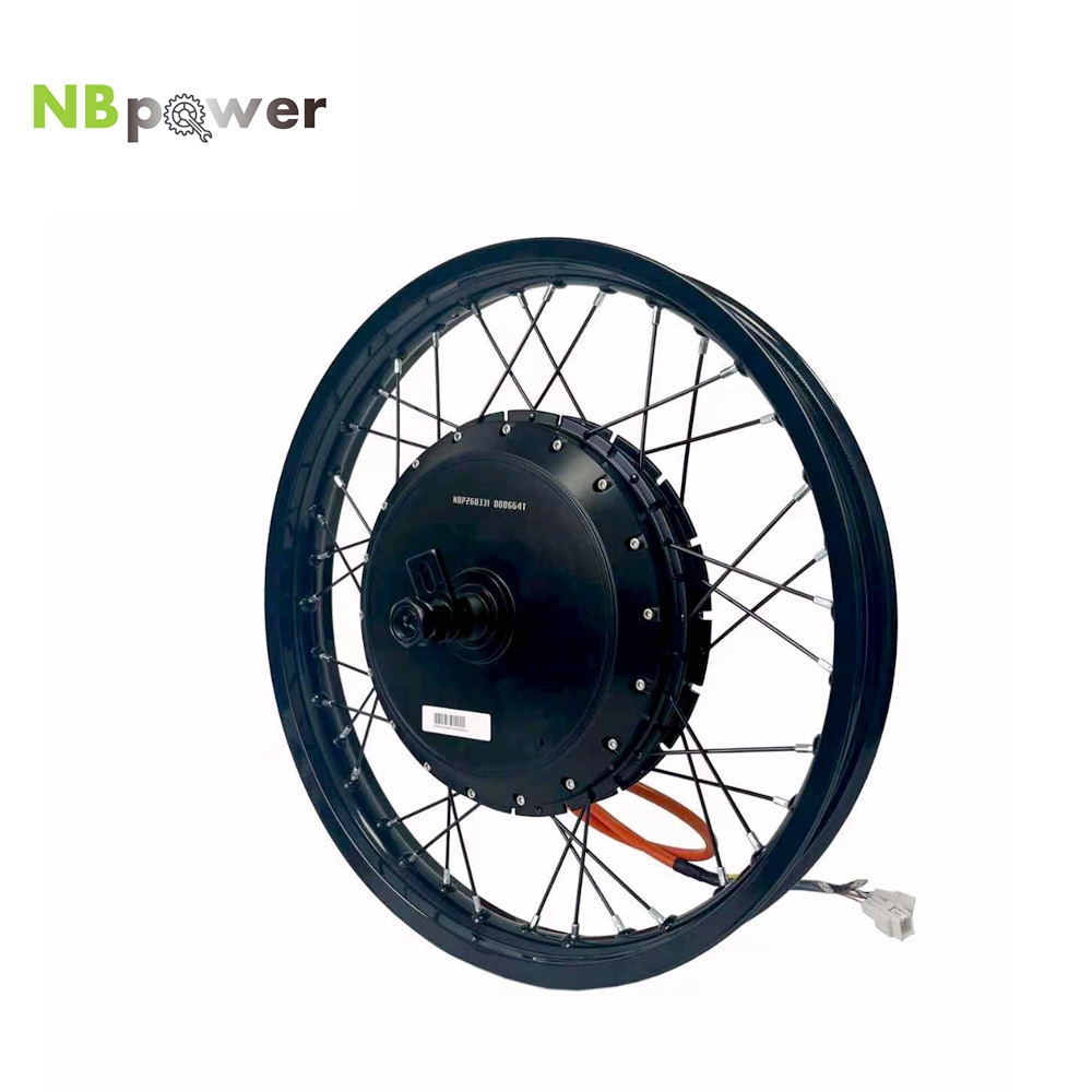 NBpower/170mm Dropout QS 273 4 - 72V 8000W Brushless Hub Motor recensie en prijs